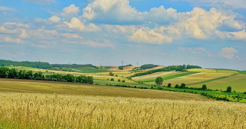 ΑΑΔΕ: Τέλος στα ΑΑΔΕ: Τέλος στα