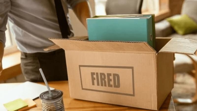 Year of pink slips Year of pink slips