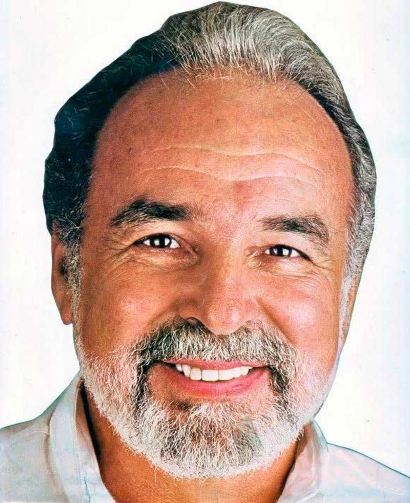 Entendiendo al Vicepresidente