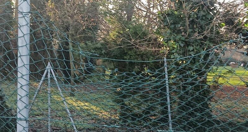 Voghenza, reti tagliate per giocare a calcio: «Il campo non è di tutti»