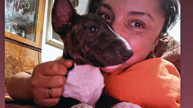 La madre trova la figlia morta in casa, Luna Falchi aveva 26 anni. Le indagini e le ipotesi sul decesso