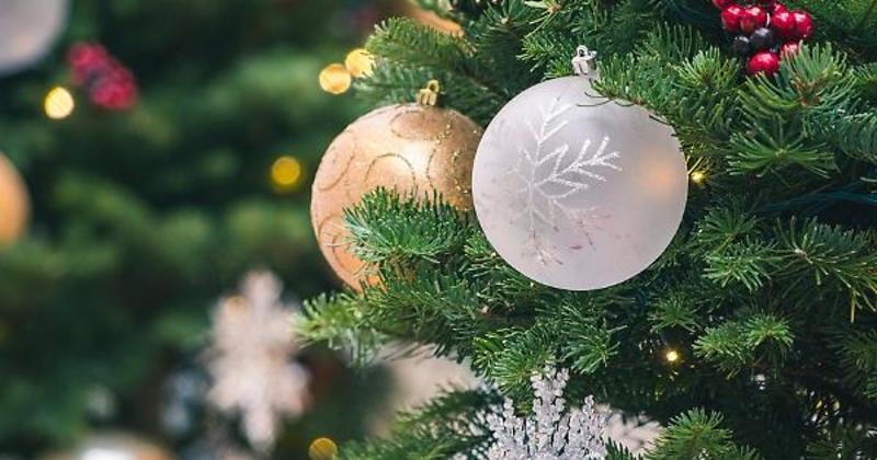 Oltre la montagna di pacchetti: per una pedagogia del dono consapevole