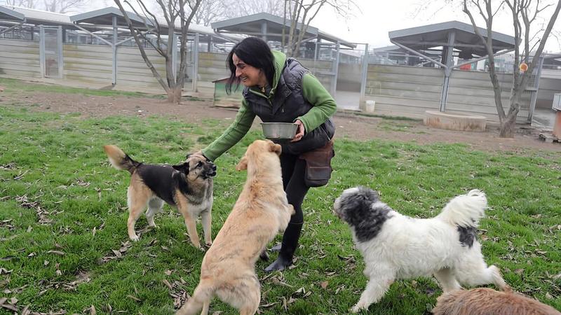 Il dono a Canile e gattile: eredità da 20mila euro