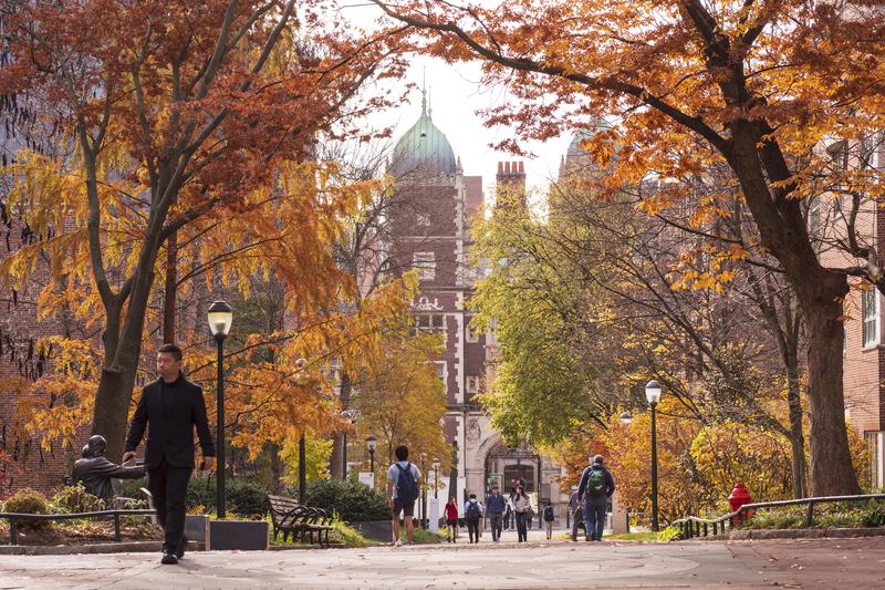 A.I. Degrees Boom as Students Prepare for an Uncertain Job Market