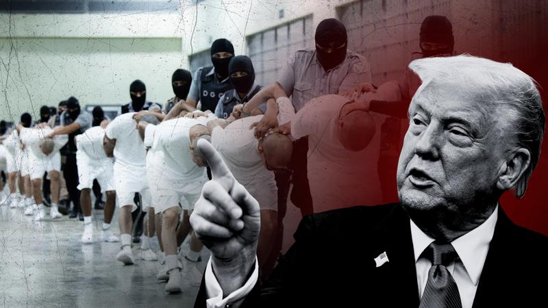 Like strongmen the world over, Donald Trump’s power grab required a crisis – and a scapegoat Like strongmen the world over, Donald Trump’s power grab required a crisis – and a scapegoat