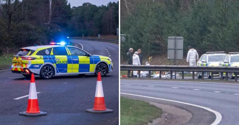 Gun found on A11 after police shoot man in his 60s dead Gun found on A11 after police shoot man in his 60s dead