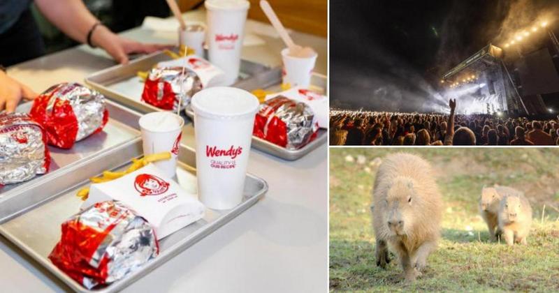 7 things to look forward to in Norfolk in 2026 7 things to look forward to in Norfolk in 2026