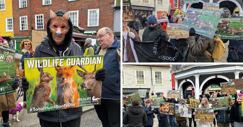 'Woman shoves man in his 80s' during row at Boxing Day hunt 'Woman shoves man in his 80s' during row at Boxing Day hunt