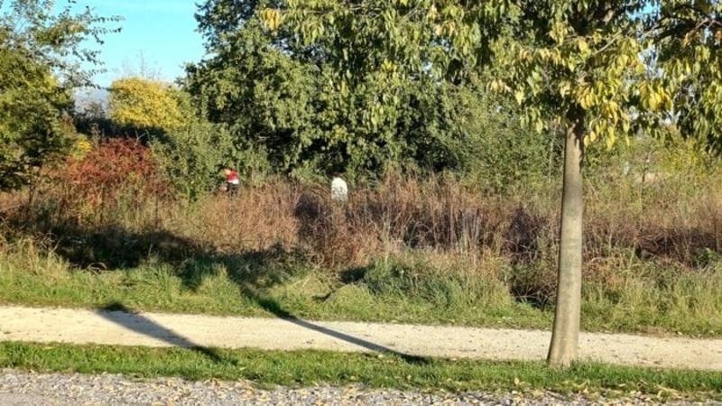 Tra Zanica e Grassobbio: «Pusher fuori controllo». Allarme spaccio nel Parco
