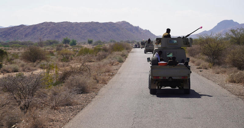 Saudi-backed head of Yemen's presidential council tells UAE to leave