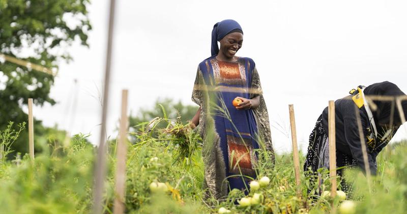 Letter: Dehumanizing language leads to violence