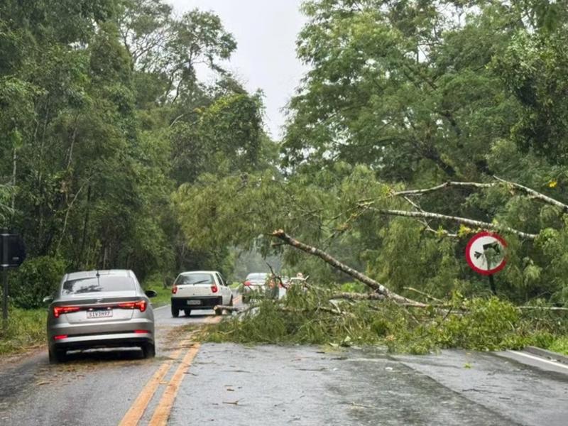Chuvas voltam a deixar desabrigados na Baixada Santista e no Vale do Ribeira