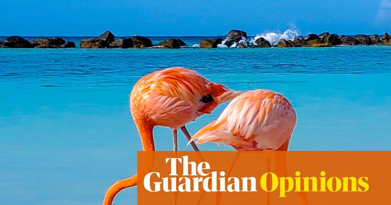 Nine scientific breakthroughs I’d like to see in 2026 – from earworms to procrastination