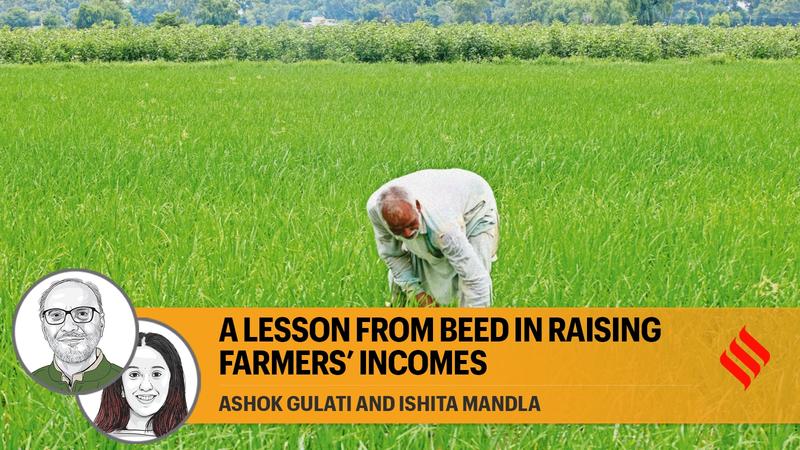 A lesson from Beed in raising farmers’ incomes