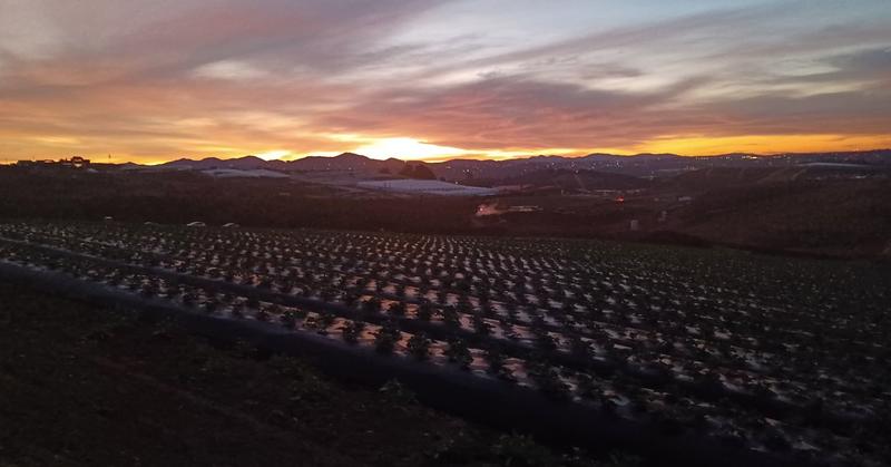 Rebuild, Renew, Restore