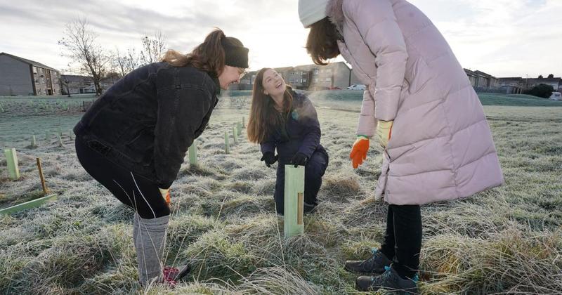 Why Scotland’s cities need to treat trees as essential infrastructure