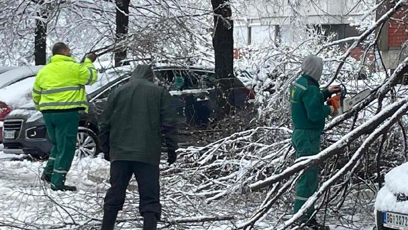 Bandera pala na automobil