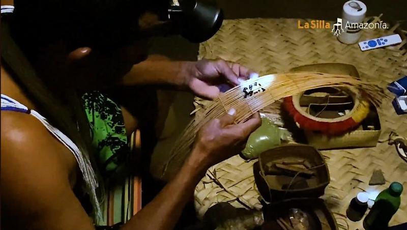 Así fue mi ritual de picaduras con hormigas sagradas del Vichada