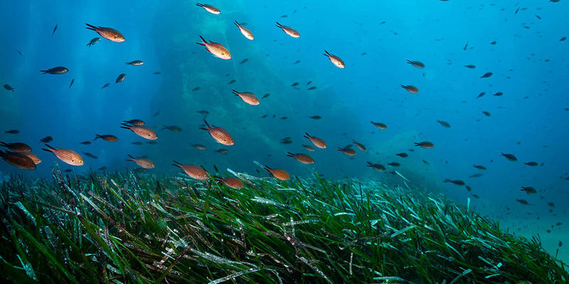 The Ocean Has Finally Entered the Global Climate Debate