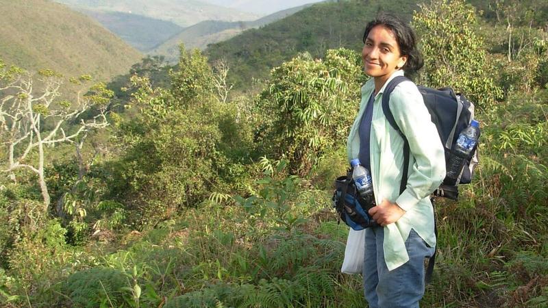 Liliana Resinovich, il verdetto delle formiche. La scienziata: “Un nido a pochi metri da dove è stato ritrovato il corpo” /