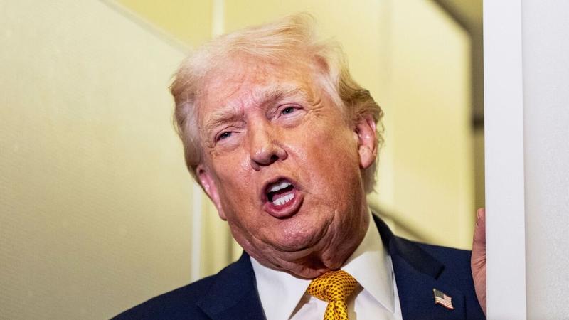 Grönland im Visier : Europa kann bei Trump mit Realpolitik mehr erreichen als mit Empörung