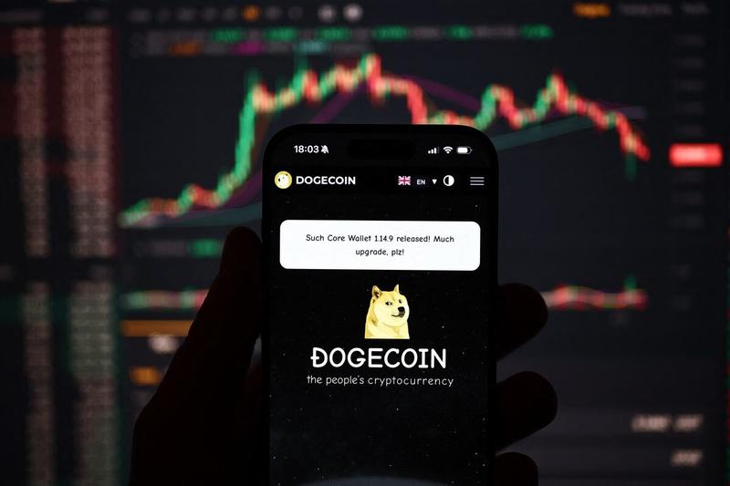 Leveraged Dogecoin? Not in the Banking System, Please