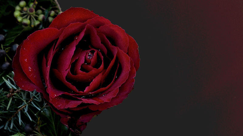 Best of 2025 - Vale Pat Power, a true minister