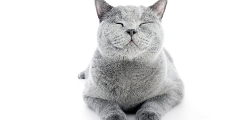 How the Search for Meaning Helps and Hurts Us