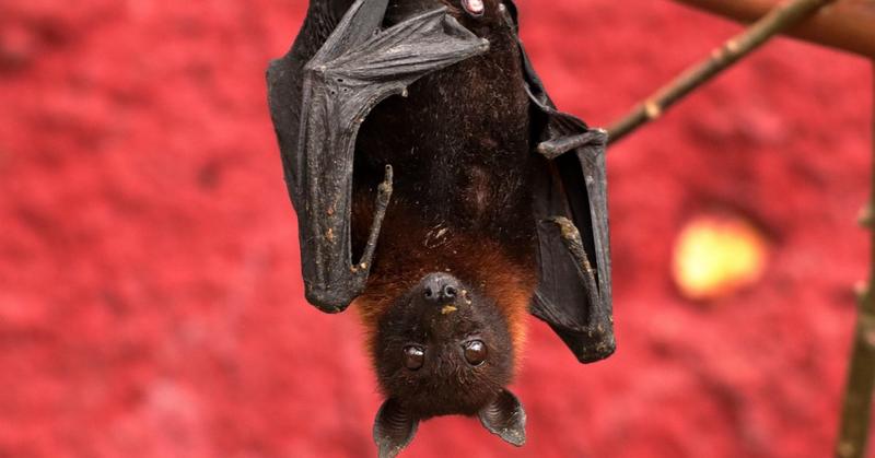 Break Free Of Your Own Reality Bubble