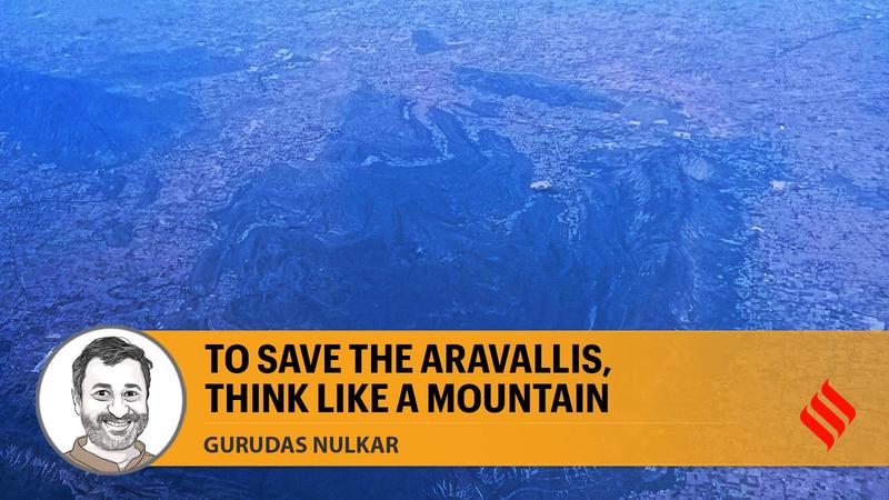 To save the Aravallis, think like a mountain
