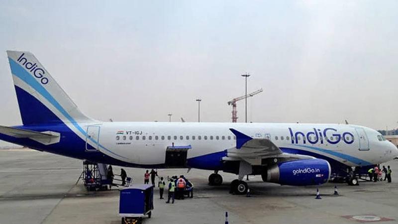 Why IndiGo still matters