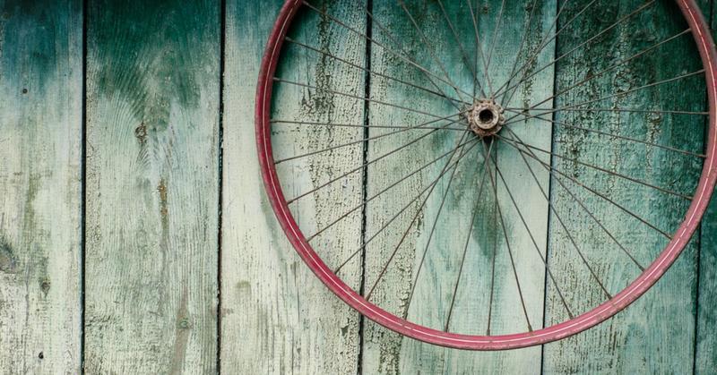 Can Accepting Our Biological Heritage Improve the World?