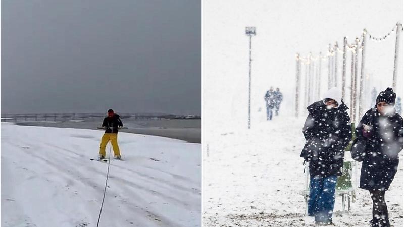 Rimini, lo sci improvvisato in spiaggia e i delfini sotto i fiocchi: le sorprese della neve virali sul web