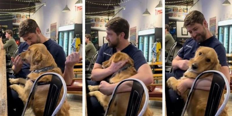 Sweet Golden Retriever unexpectedly runs into his vet and adorably loses his mind