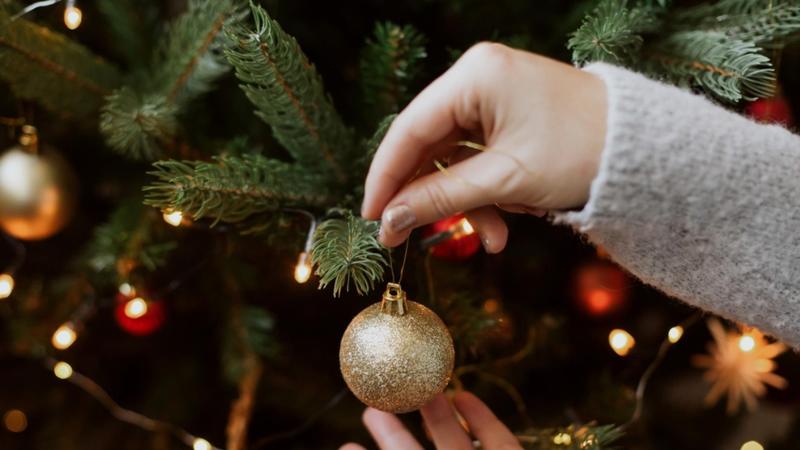 Riuso e riciclo degli alberi di Natale, Ama: raccolta nei centri di quartiere