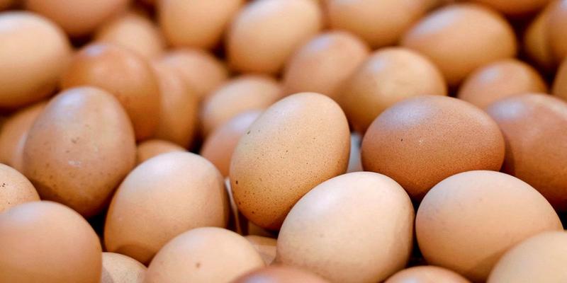 Der Eier-Engpass zeigt, wie sehr sich Österreich auf Billigimporte verlässt