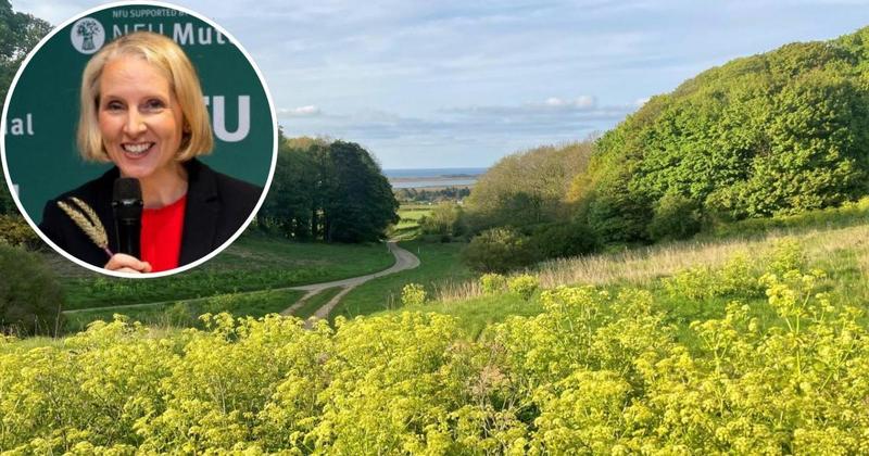 Flagship nature-friendly farming scheme set to reopen in June after 'months of limbo'