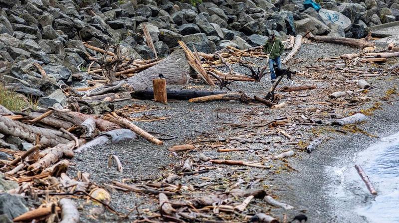 Comment: Don't worry about logs, the barnacles will be fine