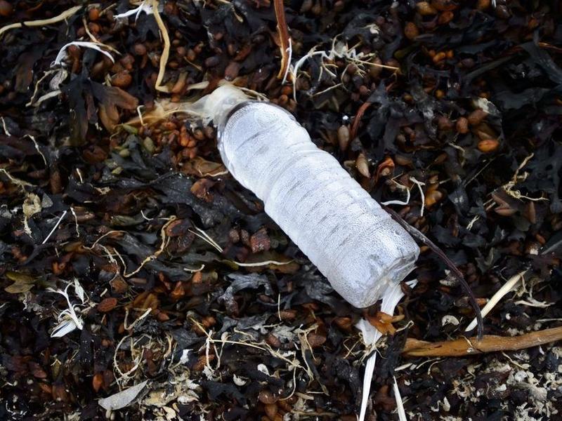 JAY GOLDBERG: Scrapping single-use plastics should not be last domino to fall