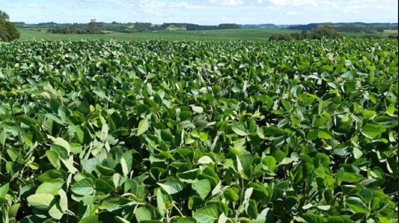 A tributação e o agro