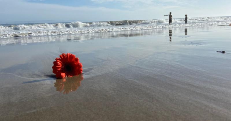 How to Stop Abandoning Yourself and Start Showing Up