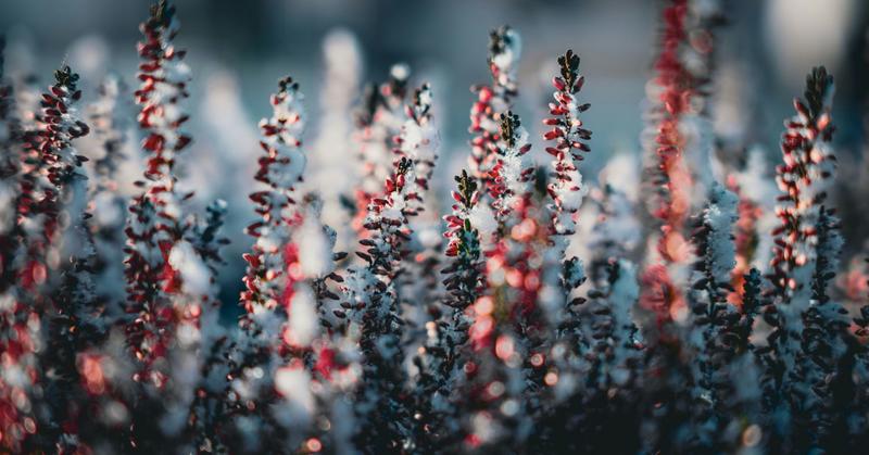 5 Invitations for a Kinder Start to the New Year