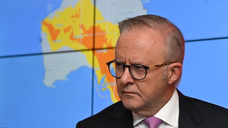 Albanese has acted at last but attacking commissioner is Trumpian