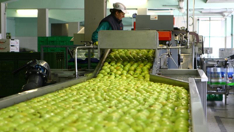 Melavì verso la chiusura: oggi riunione dei soci per individuare il liquidatore