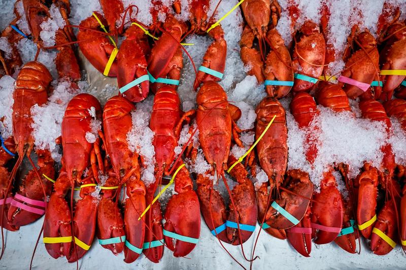 What a Lobster Heist Tells Us About Government Failure