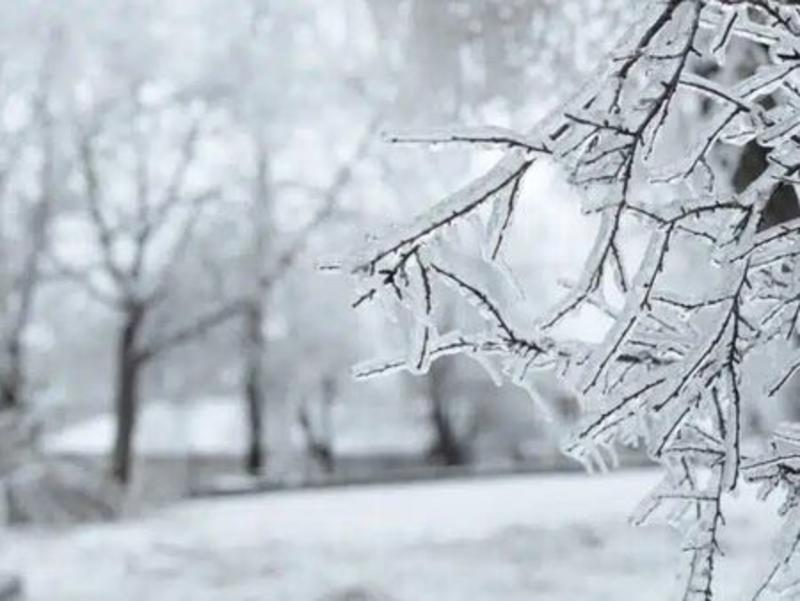 Рязко застудяване у нас - регистрирани са минус 19 градуса