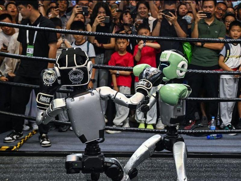 The impact of robotics