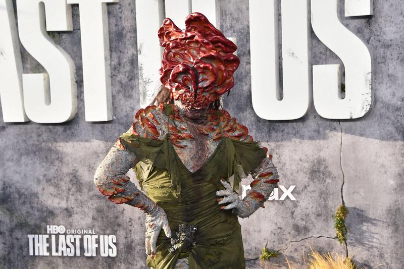 A internet dos fungos