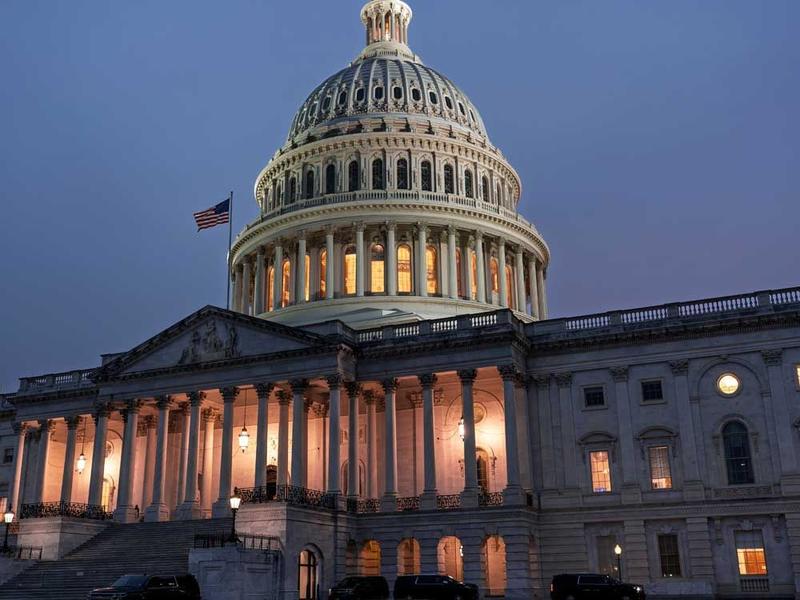 McCAUGHEY: The geniuses in Congress — that's a joke