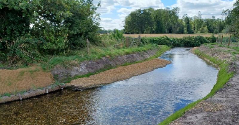 Water company launches £11m grant fund to help rejuvenate river catchments